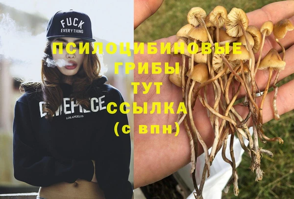 мескалин Алексеевка