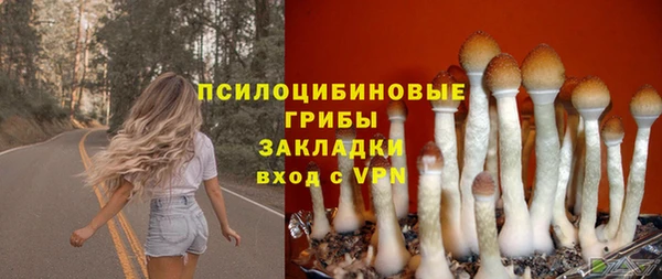 амфетамин Алексин