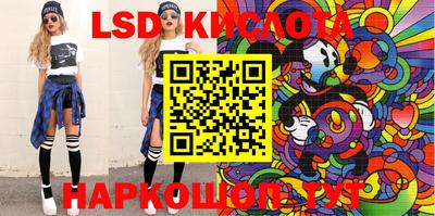 крисы Шебекино