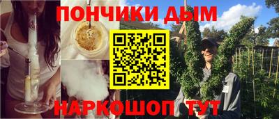 твердый Сланцы
