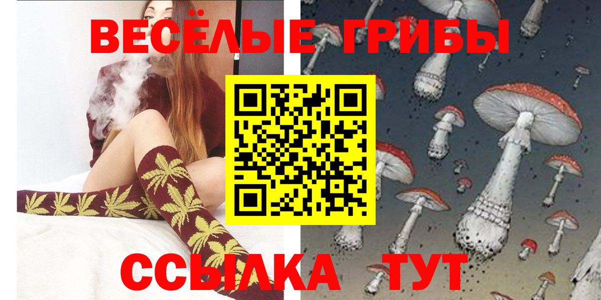 A-PVP Новосибирск